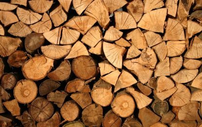 Les outils pour travailler le bois