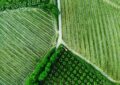 Les biocarburants de troisième génération : une alternative durable