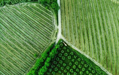 Les biocarburants de troisième génération : une alternative durable