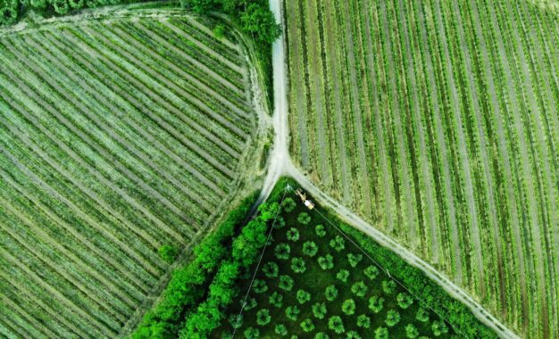 Les biocarburants de troisième génération : une alternative durable